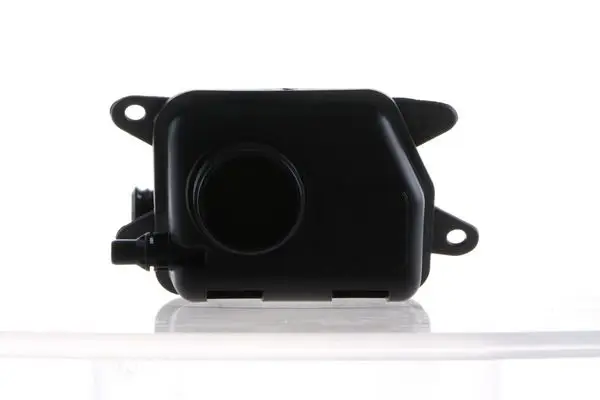 / Crt 171 000S / BMW F10-F12-F01-E70 N63 Yedek Su Deposu 17137647281
