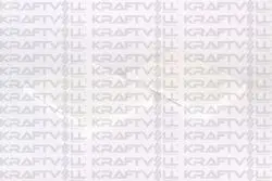 Polen Filtresi BMW F07 F10 F11 F01 F02 F03 F04