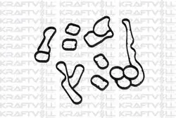 Yağ Soğutucusu Conta Tk. (N47d, Komple) BMW F20 F21 F22 F30 F31 F87 E90 E91 E92 E93