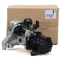 EGR Valfi Komple DW10FD 308/3008/508/5008/ Mondeo 10-