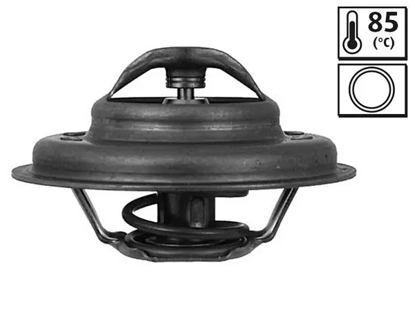 Termostat Cıt Xm Peug. 605