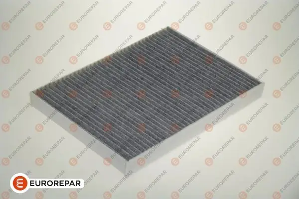 Psa / Erp Polen Filtresi 407