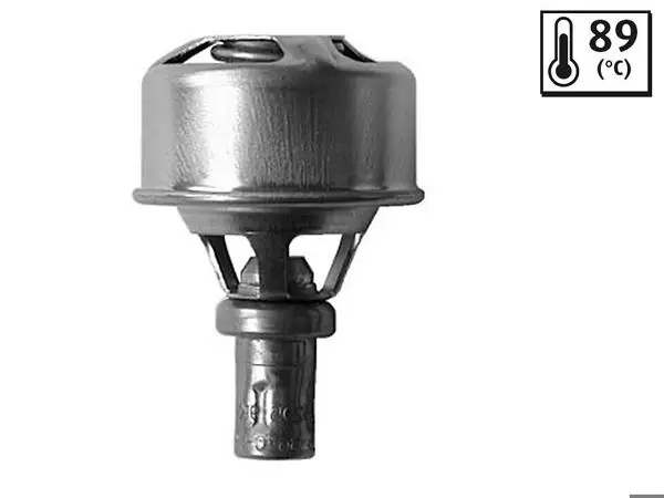 Termostat Renault 12 89 C