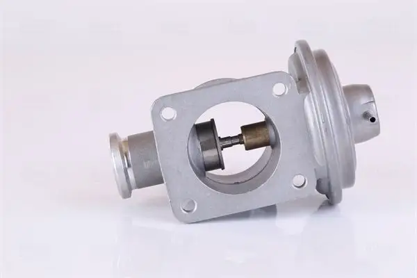 EGR Valfi M47-M47n-M57-M67-E38-E39-E46-E53-E65