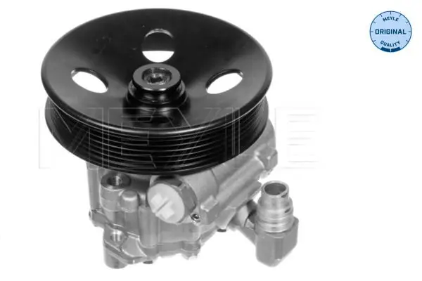 Direksiyon Pompası 163 Ml 320 / 430 / 55