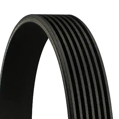 V Kayışı 03 > Accord 2.0 16V 1.760mm