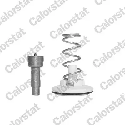 Termostat Govdesız-Contasız (VW Polo 1.2)