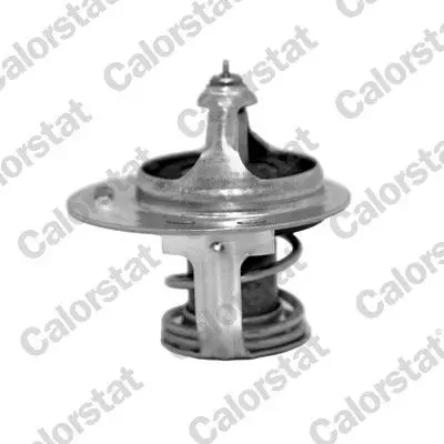 Termostat (Hyundai Lantra Sonata Kia Sportage Rio)
