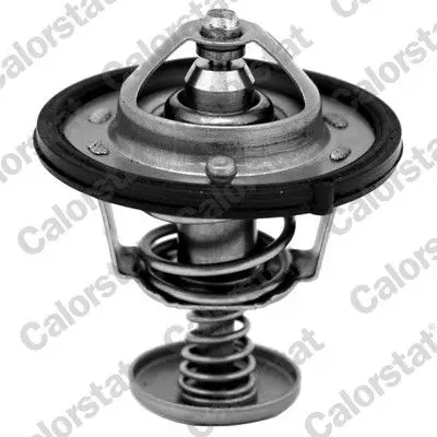Termostat (Hyundai Santa Fe Sonata Trajet Kia Magentis)