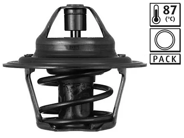 Termostat Audi Ford