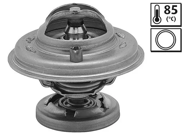 Termostat 85 C (Mercedes 601 / 602 / 603 / 605 / 606)