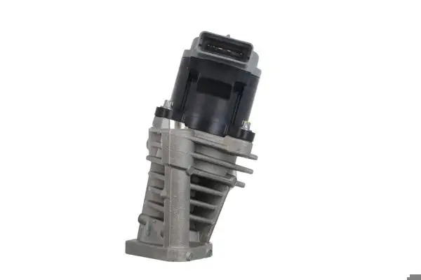 EGR Valfi (Peugeot 406 2.0 Hpı 16V 01-04 Citroen C5 01-04