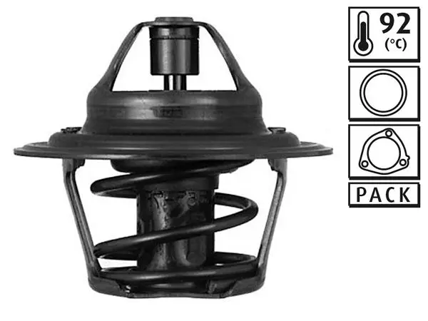 Termostat Audi Ford