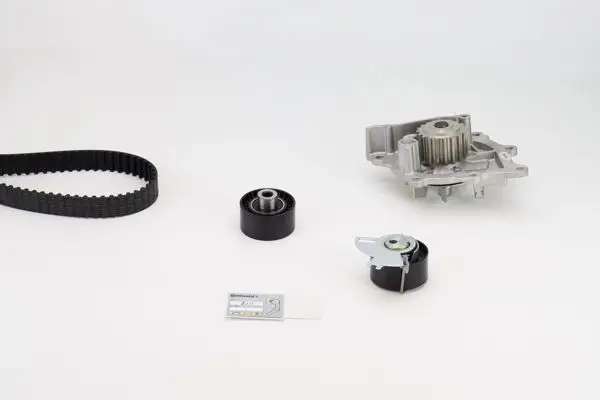 Triger Gergi Seti + Devirdaim (Ford: 2.2 TDCI Mondeo IV Galaxy 08-12 Smax 08-14 / Citroen: C5 2.2 HDI C6 2.2Hdı)