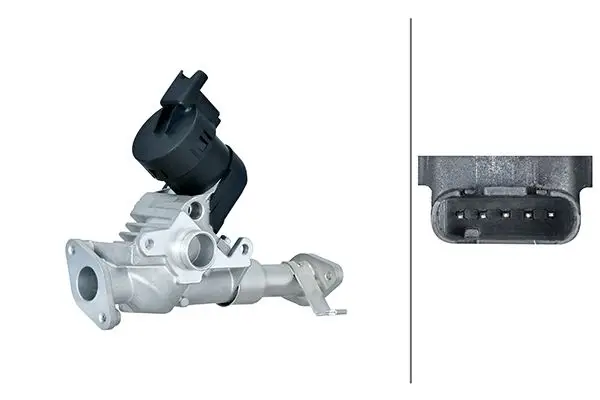 EGR Valfi N-43