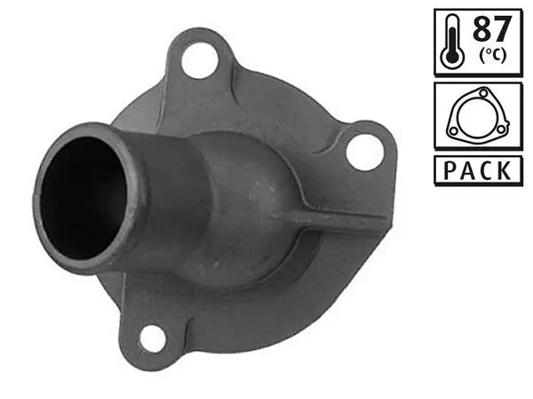 Termostat Fiat