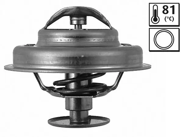 Termostat Citroen / Peugeot