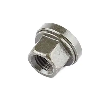 Bijon Somunu  Transit V184 Bm 01-12