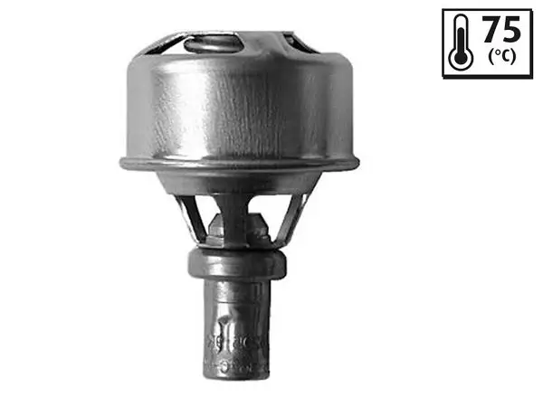 Termostat 75 C (Renault R12)