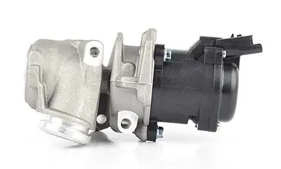 EGR Valfi Kablosuz / (9672880080) 1618.Nr Focus/C-Max/Fiesta/C4/307/407/Scudo 2 1.6 TDCI/1.6 HDI 02-11