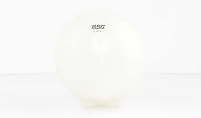 Radyatör Yedek Su Deposu  206/206+ Bm 98-