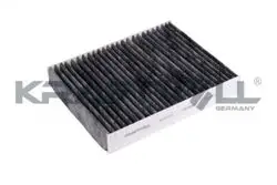 Polen Filtresi BMW F20 F30 Karbonlu