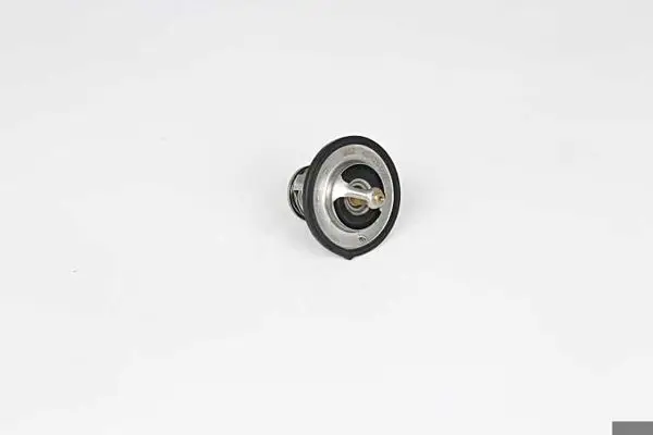 Termostat 85 CC 54 Lük Accent Adm/Accent Era/Getz/Elantra/ i30/Santafe/Tucson/Cerato/Ceed/Rio Dizel 2003-