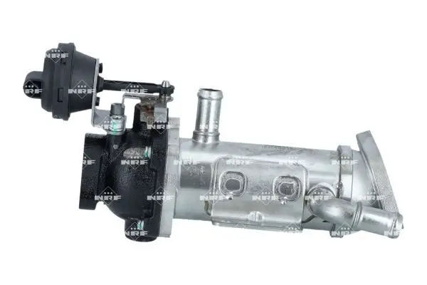 EGR Valfi M9r 2.0 DCI Megane II Scenic II Traffic II