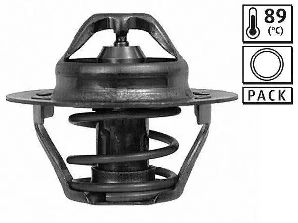 Termostat 83C R9 R11 Flash Kangoo R21 Manager Megane I Laguna I 1.6 F8m 1.7 F2n 1.9 F8q 2.0 F3r