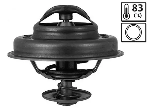 Termostat R19 TD