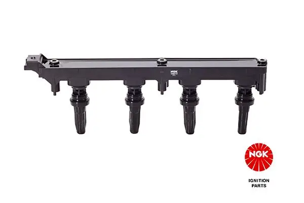 Ateşleme Bobini (Peugeot: 307 / 407 / Expert / Citroen: C4 / C5 2.0 16V 05-)