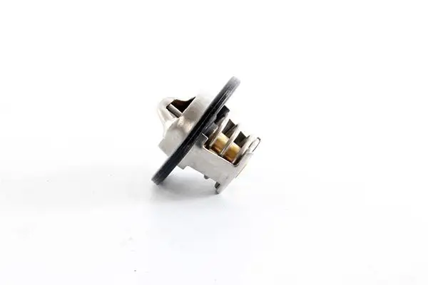 Termostat (89 °C) Clio/Megan/Logan 1.4 98-
