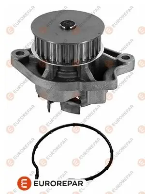 Psa / Erp Su Pomp.-Alfa Romeo-Bugattı-VW