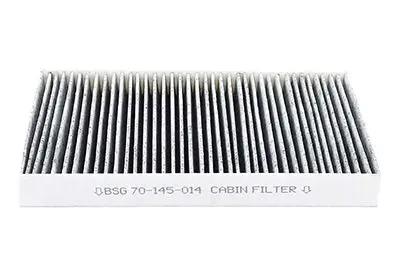 Polen Filtresi (Karbonlu) 307/308/Rcz/C2/C3/C4/Ds4 B.M 02-