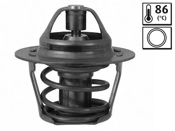 Termostat Citroen