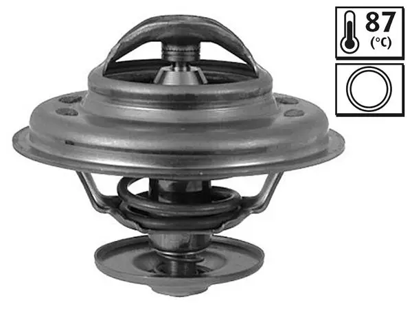 Termostat Audi