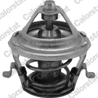 Termostat (Ford Sıerra II)