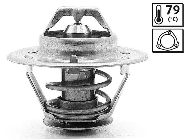 Termostat Fiat Ducato D 79 C
