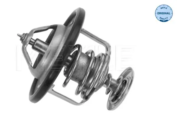 Termostat H100 L300