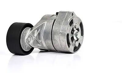 V Kayış Gergi Rulmanı Komple 6C1q 6A228 Bb/1445915/1385379 Transit V-347 2.4 D 06-12