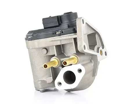 EGR Valfi 408-265-001-005Z Golf5-Jetta-Passat-A3-Leon Bag-Blf-Blp 1.6  FSI 04-10