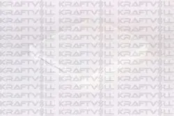 Polen Filtresi Ford Mondeo V 10 / 14- >