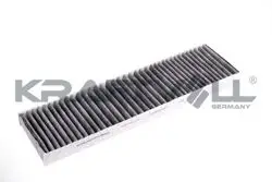 Polen Filtresi Mini R50 R52 R53 Karbonlu