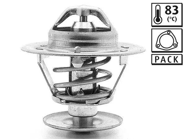 Termostat Audi Mazda Porsche VW