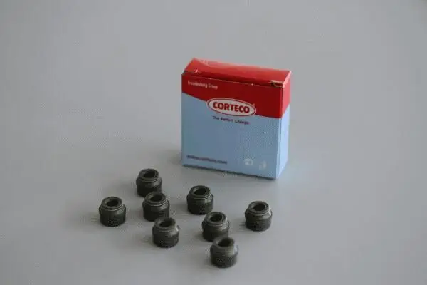 Motor Takım Contası