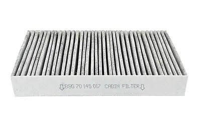 Polen Filtresi (Karbonlu) 508 B.M 2011-