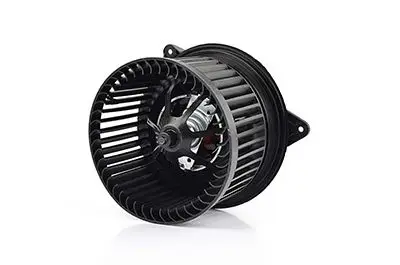 Kalorifer Motoru 2T1h 18456 Aa Focus/Connect Bm 98-13