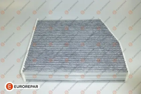 Psa / Erp Polen Filtresi (Karbonlu) W176 A160 A220 12-M 270.910