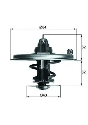 Termostat BMW E34 E38 M60 M73