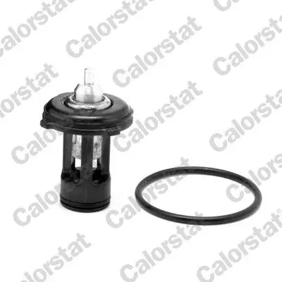 Termostat Govdesız VW Polo V 1.2Tdı